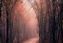 滚球外围平台 -AI浪潮中，如何绘制你的生涯地(dì)圖(tú)