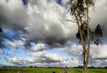 稳定靠谱外围 -东莞证券給(gěi)予勝(shèng)宏科技买入评级：卡位优势明显，充分受(shòu)益AIPCB浪潮