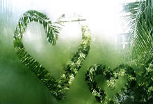 世界杯外围走势 -德甲(jiǎ)单场：拜仁大(dà)胜十人(rén)門(mén)興(xìng)