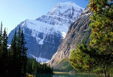 世界杯外围走势 -全国无人机足球大赛总决赛收官